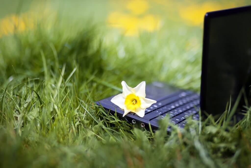 Online learning with IS